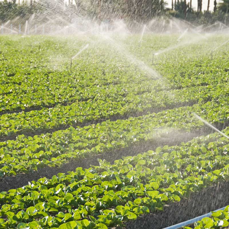 Well Drill For Sale.jpg Well Drill For Sale.jpg