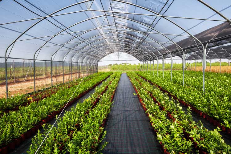 Pile Driver Machines.jpg Pile Driver Machines.jpg