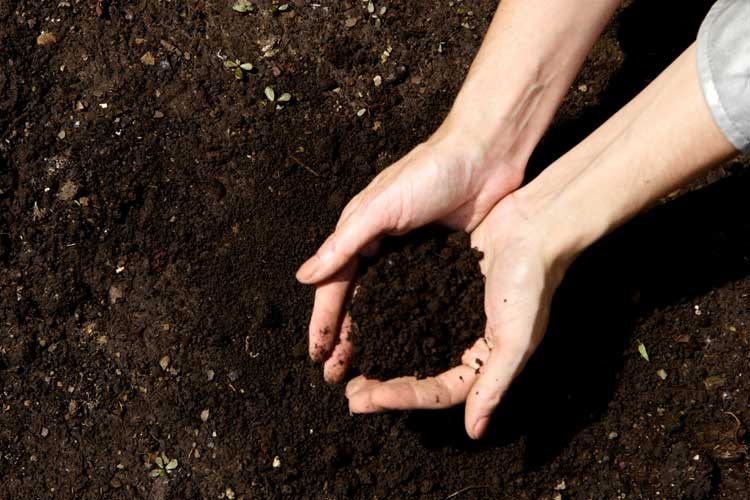 سولر پائلنگ مشین.jpg سولر پائلنگ مشین.jpg