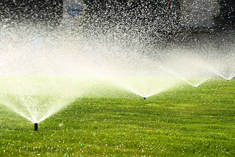 Сценарий применения гусеничной установки для бурения скважин на воду FYX180.jpg Сценарий применения гусеничной установки для бурения скважин на воду FYX180.jpg